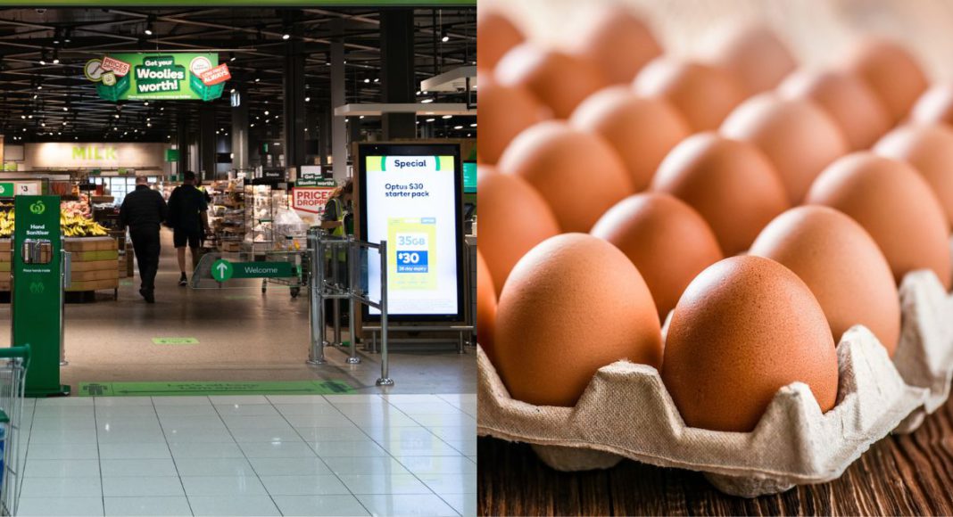 What’s causing Australia’s egg shortage? The Australia Today